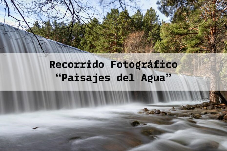 Recorrido fotográfico por el Abedular de Canencia: una jornada para capturar los paisajes del agua